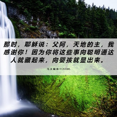 Picture 06 - 马 太 福 音 11:25 CUVS - 那 时 ， 耶 稣 说 ： 父 阿 ， 天 地 - Bible Verse Picture
