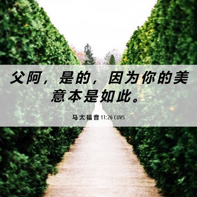 Picture 06 - 马 太 福 音 11:26 CUVS - 父 阿 ， 是 的 ， 因 为 你 的 美 意 - Bible Verse Picture