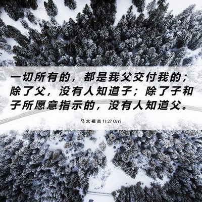 Picture 06 - 马 太 福 音 11:27 CUVS - 一 切 所 有 的 ， 都 是 我 父 交 付 - Bible Verse Picture
