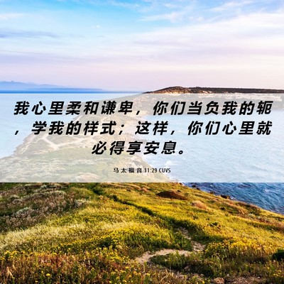 Picture 06 - 马 太 福 音 11:29 CUVS - 我 心 里 柔 和 谦 卑 ， 你 们 当 负 - Bible Verse Picture