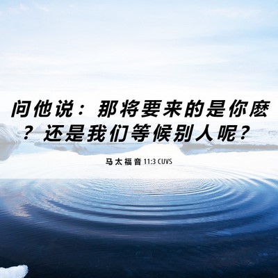 Picture 06 - 马 太 福 音 11:3 CUVS - 问 他 说 ： 那 将 要 来 的 是 你 麽 - Bible Verse Picture