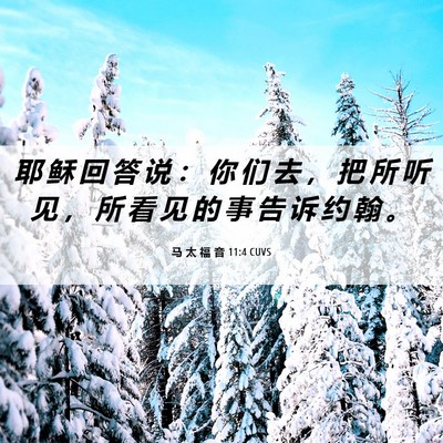 Picture 06 - 马 太 福 音 11:4 CUVS - 耶 稣 回 答 说 ： 你 们 去 ， 把 所 - Bible Verse Picture