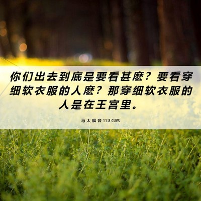 Picture 06 - 马 太 福 音 11:8 CUVS - 你 们 出 去 到 底 是 要 看 甚 麽 ？ - Bible Verse Picture