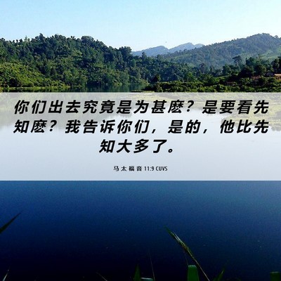 Picture 06 - 马 太 福 音 11:9 CUVS - 你 们 出 去 究 竟 是 为 甚 麽 ？ 是 - Bible Verse Picture