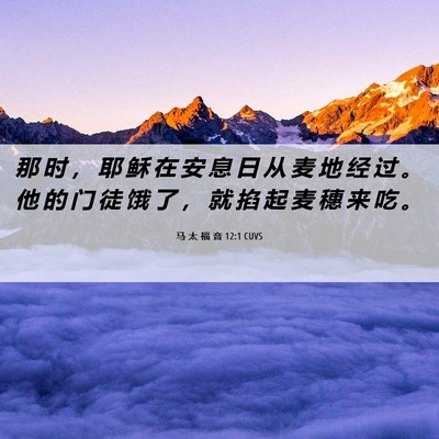 Picture 06 - 马 太 福 音 12:1 CUVS - 那 时 ， 耶 稣 在 安 息 日 从 麦 地 - Bible Verse Picture