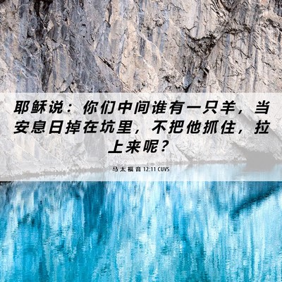 Picture 06 - 马 太 福 音 12:11 CUVS - 耶 稣 说 ： 你 们 中 间 谁 有 一 只 - Bible Verse Picture