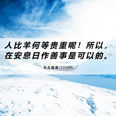Picture 06 - 马 太 福 音 12:12 CUVS - 人 比 羊 何 等 贵 重 呢 ！ 所 以 ， - Bible Verse Picture