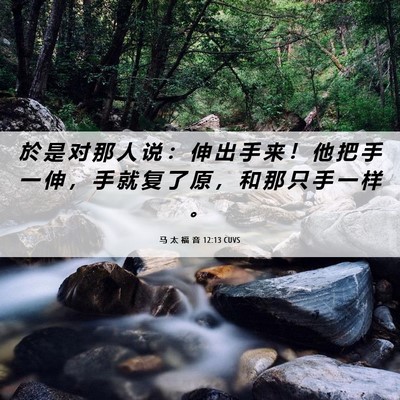 Picture 06 - 马 太 福 音 12:13 CUVS - 於 是 对 那 人 说 ： 伸 出 手 来 ！ - Bible Verse Picture