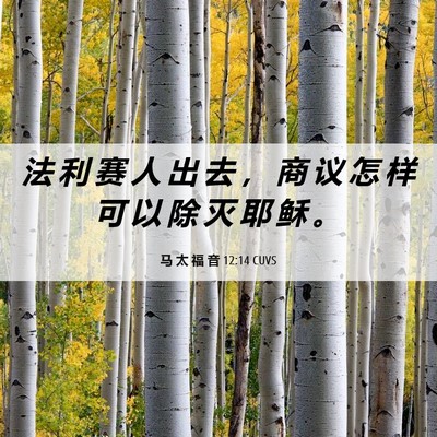 Picture 06 - 马 太 福 音 12:14 CUVS - 法 利 赛 人 出 去 ， 商 议 怎 样 可 - Bible Verse Picture