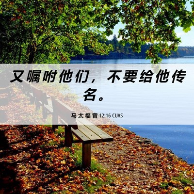 Picture 06 - 马 太 福 音 12:16 CUVS - 又 嘱 咐 他 们 ， 不 要 给 他 传 名 - Bible Verse Picture