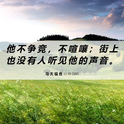 Picture 06 - 马 太 福 音 12:19 CUVS - 他 不 争 竞 ， 不 喧 嚷 ； 街 上 也 - Bible Verse Picture