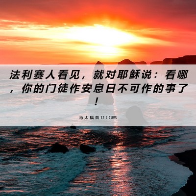 Picture 06 - 马 太 福 音 12:2 CUVS - 法 利 赛 人 看 见 ， 就 对 耶 稣 说 - Bible Verse Picture