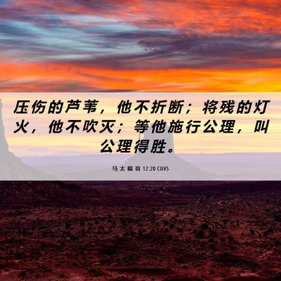 Picture 06 - 马 太 福 音 12:20 CUVS - 压 伤 的 芦 苇 ， 他 不 折 断 ； 将 - Bible Verse Picture