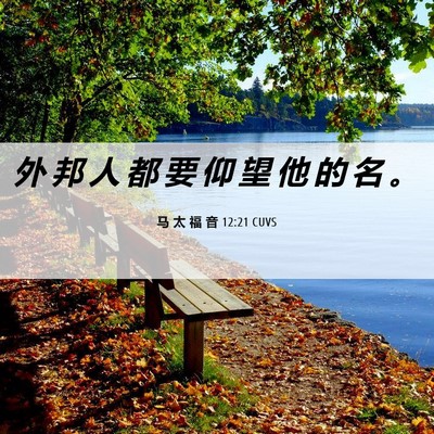 Picture 06 - 马 太 福 音 12:21 CUVS - 外 邦 人 都 要 仰 望 他 的 名 - Bible Verse Picture
