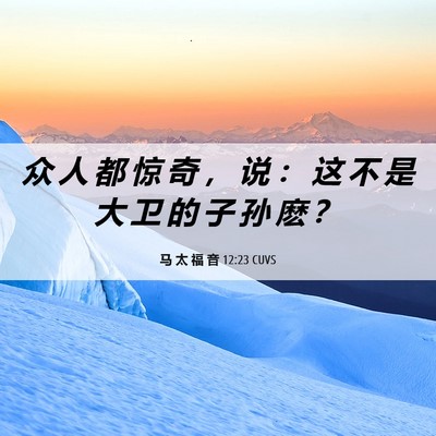 Picture 06 - 马 太 福 音 12:23 CUVS - 众 人 都 惊 奇 ， 说 ： 这 不 是 大 - Bible Verse Picture
