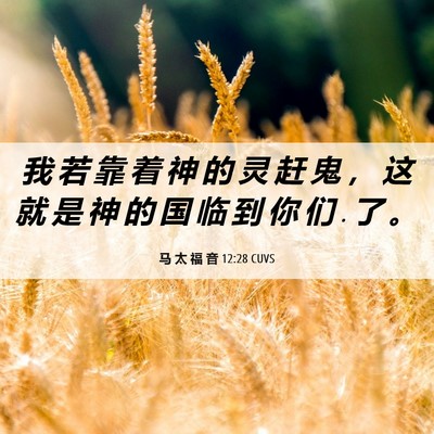 Picture 06 - 马 太 福 音 12:28 CUVS - 我 若 靠 着 神 的 灵 赶 鬼 ， 这 就 - Bible Verse Picture