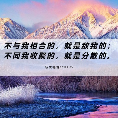 Picture 06 - 马 太 福 音 12:30 CUVS - 不 与 我 相 合 的 ， 就 是 敌 我 的 - Bible Verse Picture