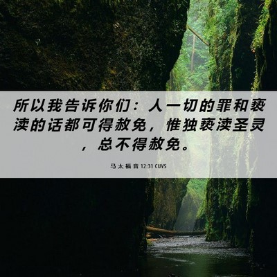 Picture 06 - 马 太 福 音 12:31 CUVS - 所 以 我 告 诉 你 们 ： 人 一 切 的 - Bible Verse Picture