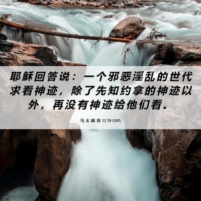 Picture 06 - 马 太 福 音 12:39 CUVS - 耶 稣 回 答 说 ： 一 个 邪 恶 淫 乱 - Bible Verse Picture