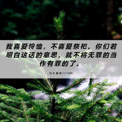 Picture 06 - 马 太 福 音 12:7 CUVS - 我 喜 爱 怜 恤 ， 不 喜 爱 祭 祀 。 - Bible Verse Picture