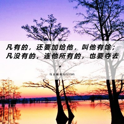 Picture 06 - 马 太 福 音 13:12 CUVS - 凡 有 的 ， 还 要 加 给 他 ， 叫 他 - Bible Verse Picture