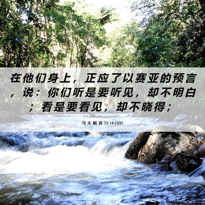 Picture 06 - 马 太 福 音 13:14 CUVS - 在 他 们 身 上 ， 正 应 了 以 赛 亚 - Bible Verse Picture