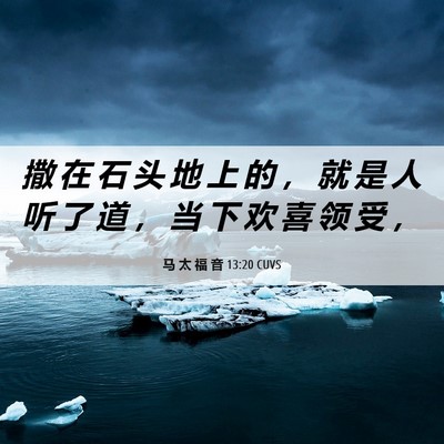 Picture 06 - 马 太 福 音 13:20 CUVS - 撒 在 石 头 地 上 的 ， 就 是 人 听 - Bible Verse Picture