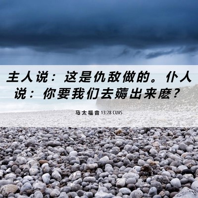Picture 06 - 马 太 福 音 13:28 CUVS - 主 人 说 ： 这 是 仇 敌 做 的 。 仆 - Bible Verse Picture
