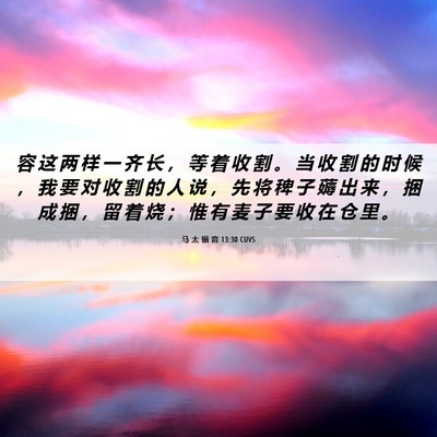 Picture 06 - 马 太 福 音 13:30 CUVS - 容 这 两 样 一 齐 长 ， 等 着 收 割 - Bible Verse Picture