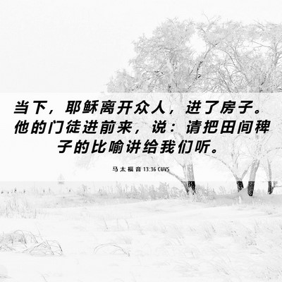Picture 06 - 马 太 福 音 13:36 CUVS - 当 下 ， 耶 稣 离 开 众 人 ， 进 了 - Bible Verse Picture