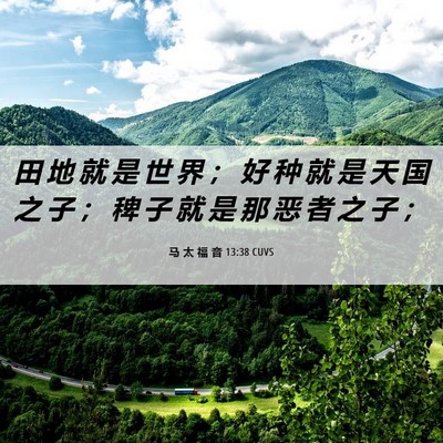 Picture 06 - 马 太 福 音 13:38 CUVS - 田 地 就 是 世 界 ； 好 种 就 是 天 - Bible Verse Picture