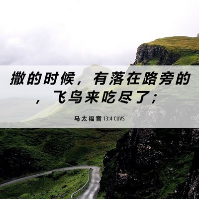 Picture 06 - 马 太 福 音 13:4 CUVS - 撒 的 时 候 ， 有 落 在 路 旁 的 ， - Bible Verse Picture
