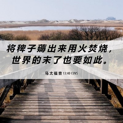 Picture 06 - 马 太 福 音 13:40 CUVS - 将 稗 子 薅 出 来 用 火 焚 烧 ， 世 - Bible Verse Picture