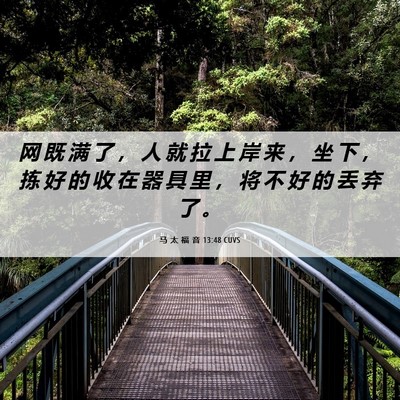 Picture 06 - 马 太 福 音 13:48 CUVS - 网 既 满 了 ， 人 就 拉 上 岸 来 ， - Bible Verse Picture