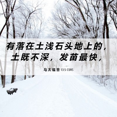 Picture 06 - 马 太 福 音 13:5 CUVS - 有 落 在 土 浅 石 头 地 上 的 ， 土 - Bible Verse Picture