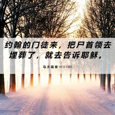 Picture 06 - 马 太 福 音 14:12 CUVS - 约 翰 的 门 徒 来 ， 把 尸 首 领 去 - Bible Verse Picture