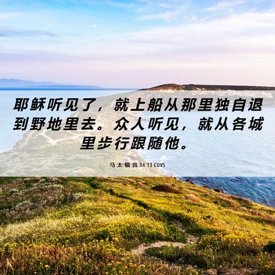Picture 06 - 马 太 福 音 14:13 CUVS - 耶 稣 听 见 了 ， 就 上 船 从 那 里 - Bible Verse Picture