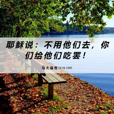 Picture 06 - 马 太 福 音 14:16 CUVS - 耶 稣 说 ： 不 用 他 们 去 ， 你 们 - Bible Verse Picture