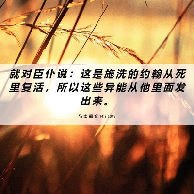 Picture 06 - 马 太 福 音 14:2 CUVS - 就 对 臣 仆 说 ： 这 是 施 洗 的 约 - Bible Verse Picture