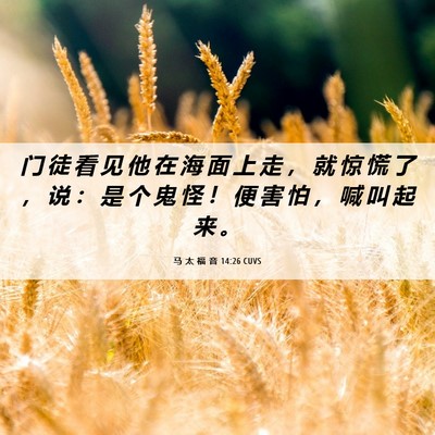 Picture 06 - 马 太 福 音 14:26 CUVS - 门 徒 看 见 他 在 海 面 上 走 ， 就 - Bible Verse Picture