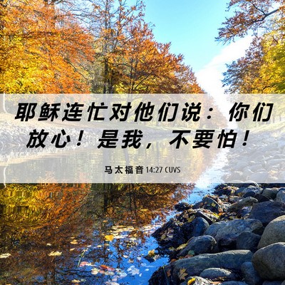 Picture 06 - 马 太 福 音 14:27 CUVS - 耶 稣 连 忙 对 他 们 说 ： 你 们 放 - Bible Verse Picture