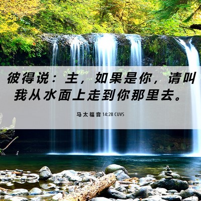 Picture 06 - 马 太 福 音 14:28 CUVS - 彼 得 说 ： 主 ， 如 果 是 你 ， 请 - Bible Verse Picture