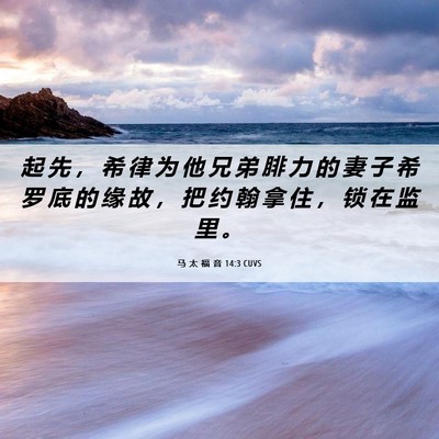 Picture 06 - 马 太 福 音 14:3 CUVS - 起 先 ， 希 律 为 他 兄 弟 腓 力 的 - Bible Verse Picture