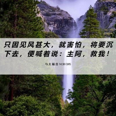 Picture 06 - 马 太 福 音 14:30 CUVS - 只 因 见 风 甚 大 ， 就 害 怕 ， 将 - Bible Verse Picture
