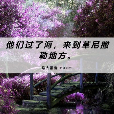 Picture 06 - 马 太 福 音 14:34 CUVS - 他 们 过 了 海 ， 来 到 革 尼 撒 勒 - Bible Verse Picture