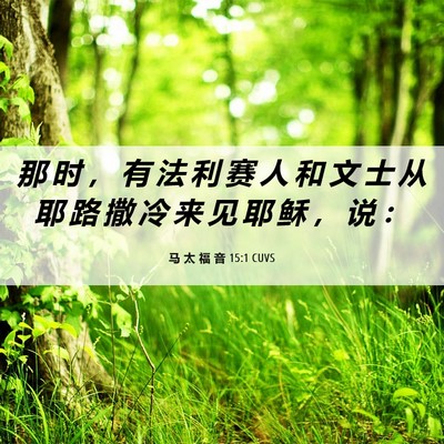 Picture 06 - 马 太 福 音 15:1 CUVS - 那 时 ， 有 法 利 赛 人 和 文 士 从 - Bible Verse Picture