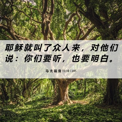 Picture 06 - 马 太 福 音 15:10 CUVS - 耶 稣 就 叫 了 众 人 来 ， 对 他 们 - Bible Verse Picture