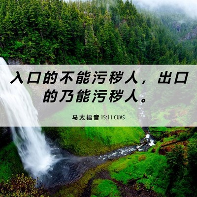 Picture 06 - 马 太 福 音 15:11 CUVS - 入 口 的 不 能 污 秽 人 ， 出 口 的 - Bible Verse Picture
