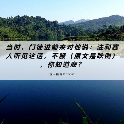 Picture 06 - 马 太 福 音 15:12 CUVS - 当 时 ， 门 徒 进 前 来 对 他 说 ： - Bible Verse Picture