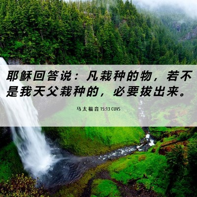 Picture 06 - 马 太 福 音 15:13 CUVS - 耶 稣 回 答 说 ： 凡 栽 种 的 物 ， - Bible Verse Picture